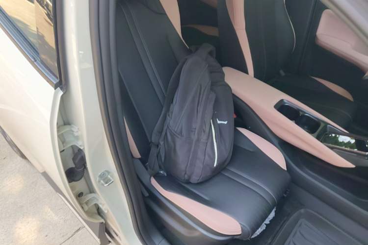 Used BYD Seagull 2025 Smart Drive Version 305 km Freedom Edition Right Front Seat