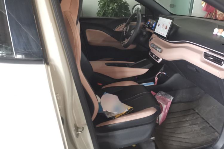 Used BYD Seagull 2025 305km Active Version Right Front Seat