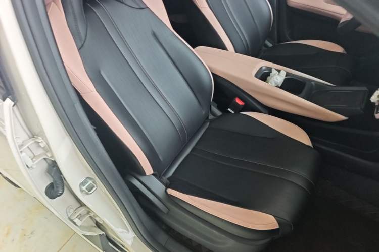 Used BYD Seagull 2025 Smart Drive Version 305 km Freedom Edition Right Front Seat
