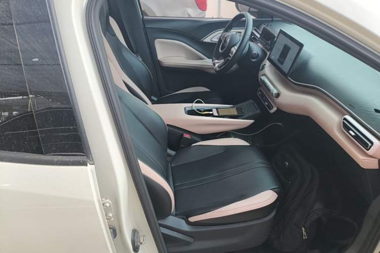 Used BYD Seagull 2025 305 km Free Version Right Front Seat