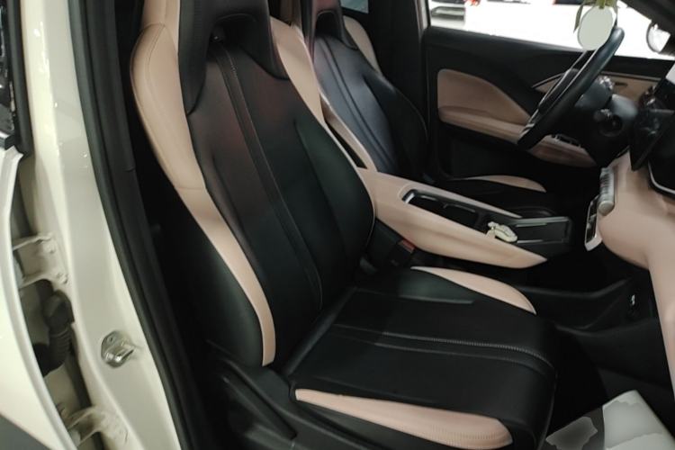 Used BYD Seagull 2025 305 km Free Version Right Front Seat