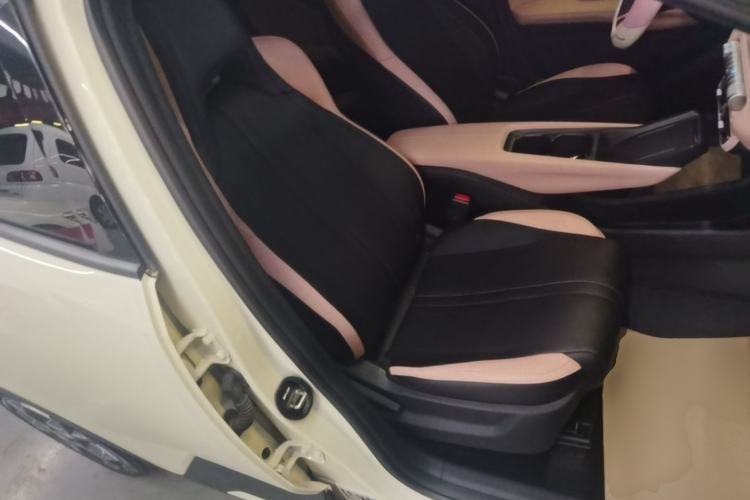 Used BYD Seagull 2025 305 km Free Version Right Front Seat