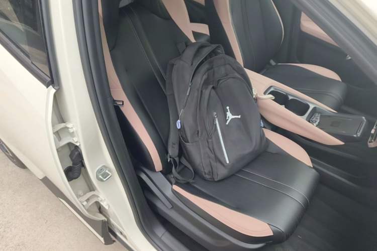 Used BYD Seagull 2025 Smart Drive Version 305 km Freedom Edition Right Front Seat