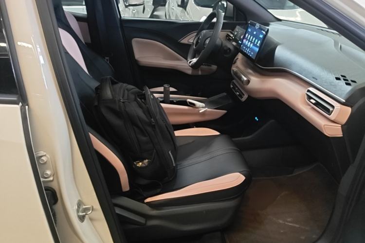 Used BYD Seagull 2025 305km Active Version Right Front Seat