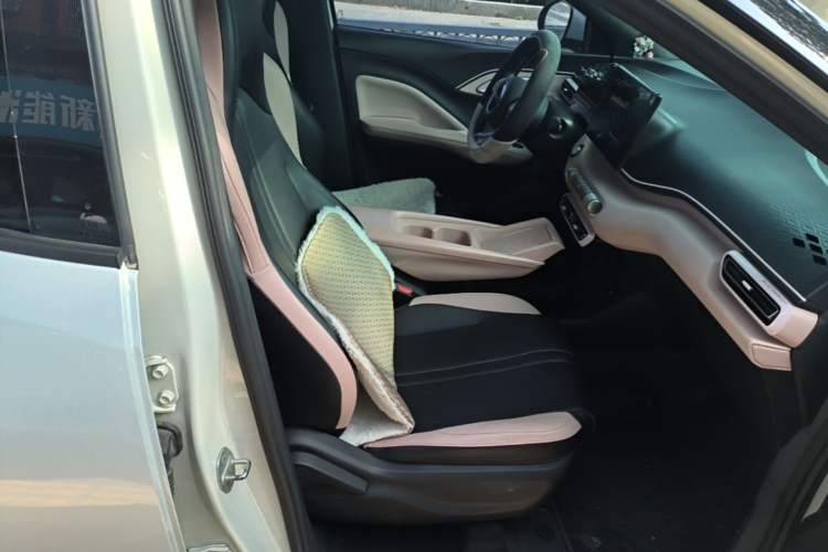 Used BYD Seagull 2025 305km Active Version Right Front Seat