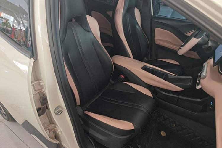 Used BYD Seagull 2025 305 km Free Version Right Front Seat