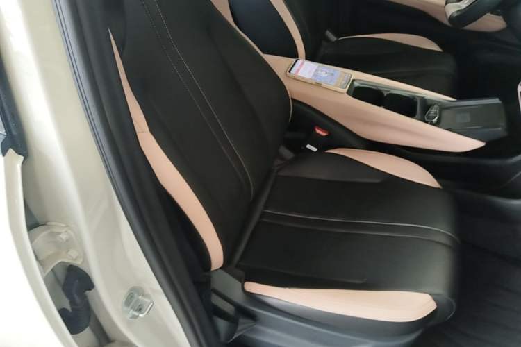 Used BYD Seagull 2025 Smart Drive Version 305 km Freedom Edition Right Front Seat