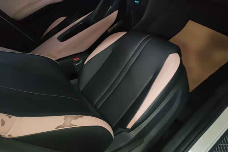 Used BYD Seagull 2025 305 km Free Version Right Front Seat