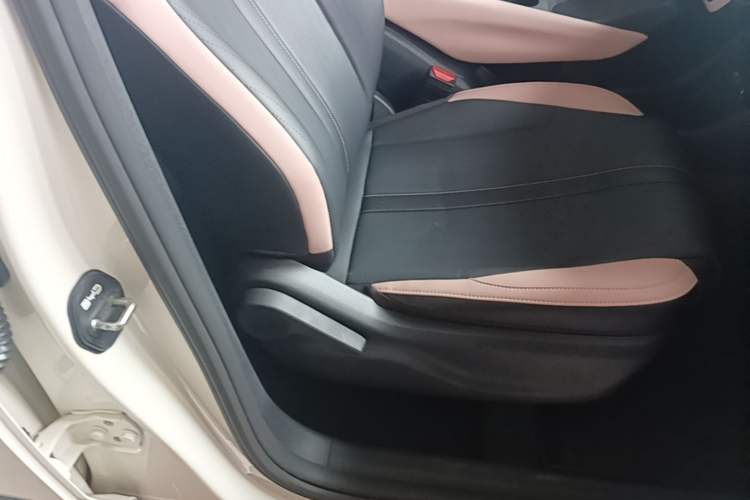 Used BYD Seagull 2025 305km Active Version Right Front Seat