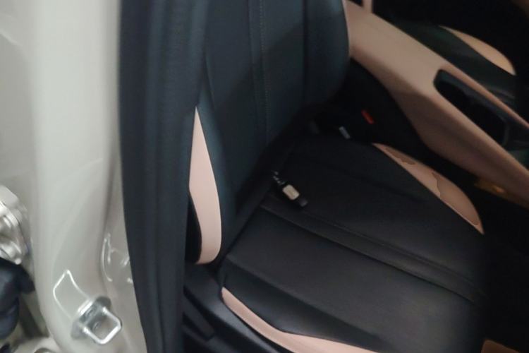 Used BYD Seagull 2025 Smart Drive Version 305 km Freedom Edition Right Front Seat