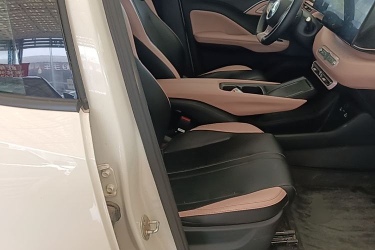 Used BYD Seagull 2025 Smart Drive Version 305 km Freedom Edition Right Front Seat