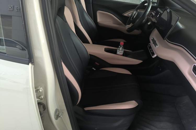 Used BYD Seagull 2025 Smart Drive Version 305 km Freedom Edition Right Front Seat