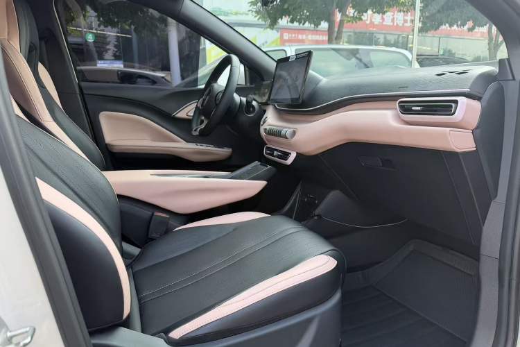 Used BYD Seagull 2025 305 km Free Version Right Front Seat