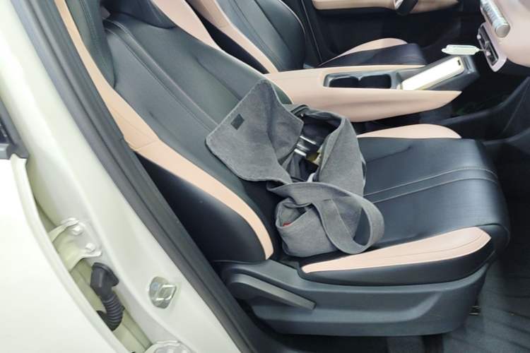 Used BYD Seagull 2025 305 km Free Version Right Front Seat