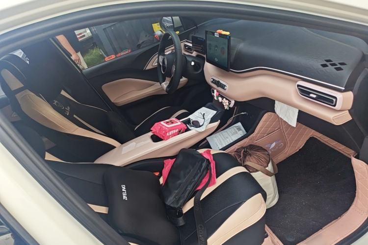 Used BYD Seagull 2025 Intelligent Driving Version 305 km Dynamic Edition Right Front Seat
