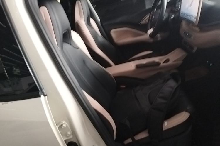 Used BYD Seagull 2025 Smart Drive Version 305 km Freedom Edition Right Front Seat