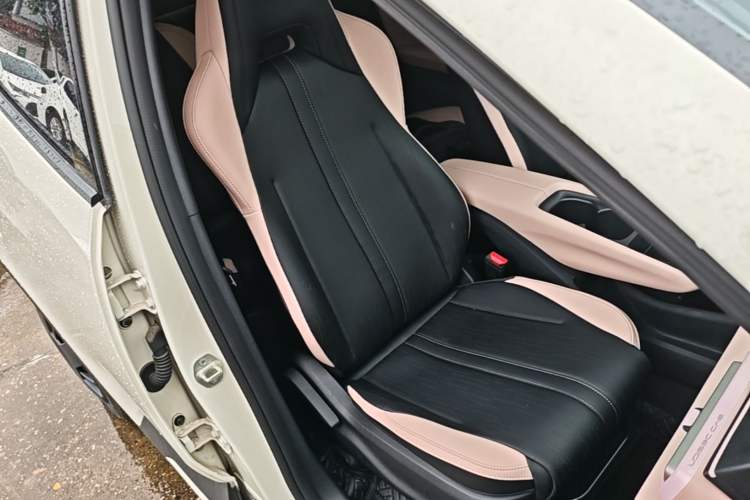 Used BYD Seagull 2025 Intelligent Driving Version 305 km Dynamic Edition Right Front Seat