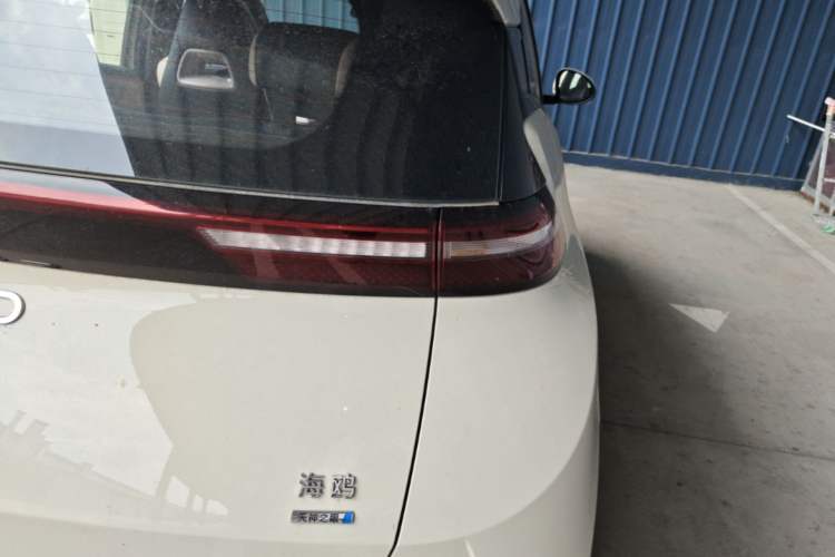 Used BYD Seagull 2025 Smart Drive Version 305 km Freedom Edition Right Rear Taillight