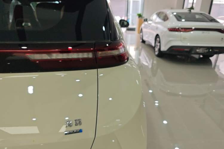 Used BYD Seagull 2025 Smart Drive Version 305 km Freedom Edition Right Rear Taillight