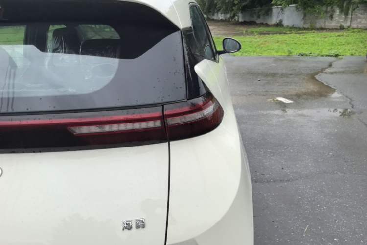 Used BYD Seagull 2025 Intelligent Driving Version 305 km Dynamic Edition Right Rear Taillight