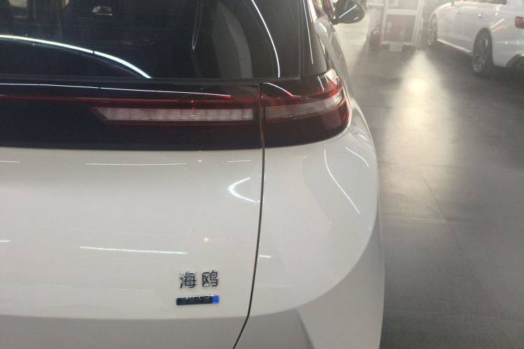 Used BYD Seagull 2025 305km Active Version Right Rear Taillight