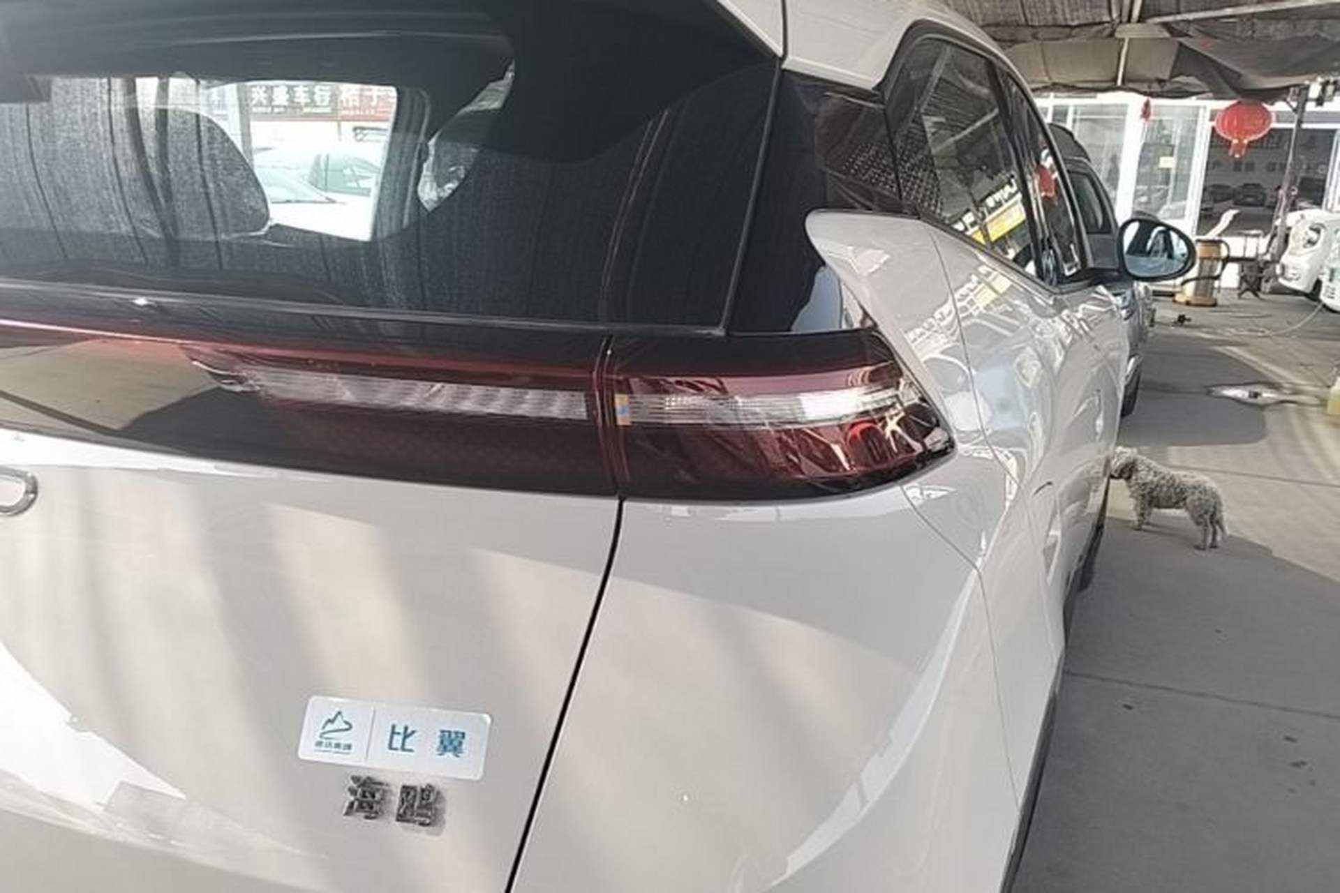 Used BYD Seagull 2025 305km Active Version Right Rear Taillight