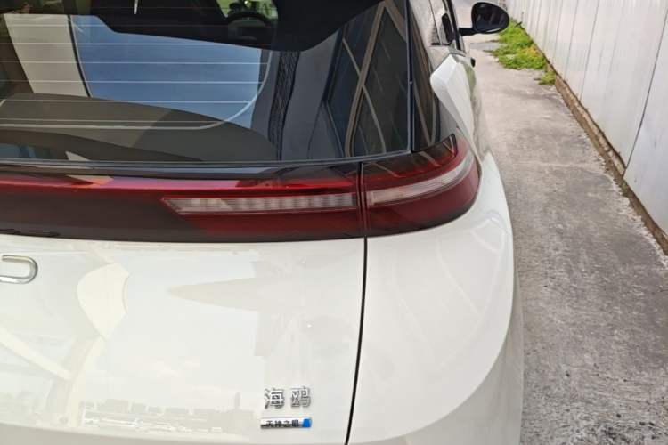 Used BYD Seagull 2025 Smart Drive Version 305 km Freedom Edition Right Rear Taillight