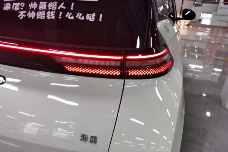 Used BYD Seagull 2025 305km Active Version Right Rear Taillight