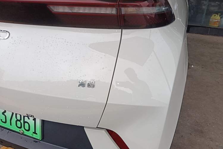 Used BYD Seagull 2025 305km Active Version Right Rear Taillight