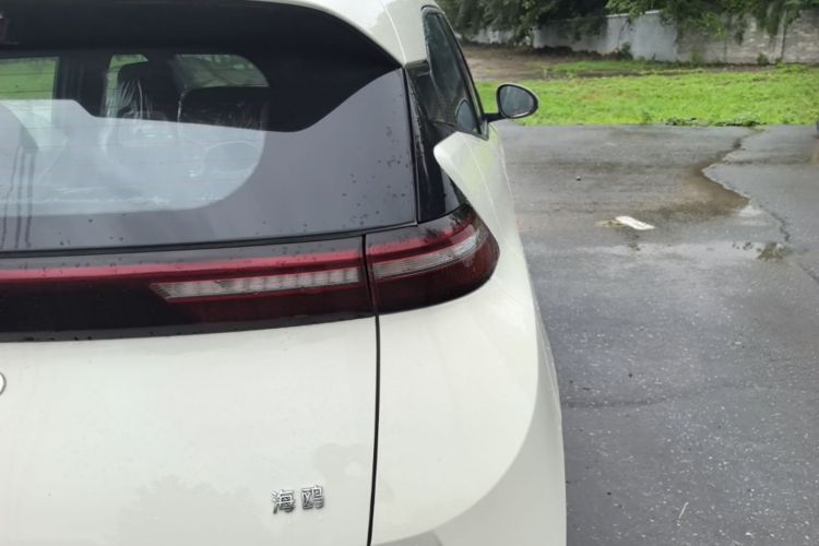 Used BYD Seagull 2025 Intelligent Driving Version 305 km Dynamic Edition Right Rear Taillight