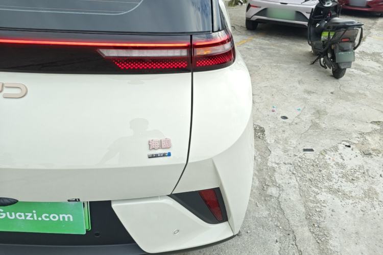 Used BYD Seagull 2025 Smart Drive Version 305 km Freedom Edition Right Rear Taillight