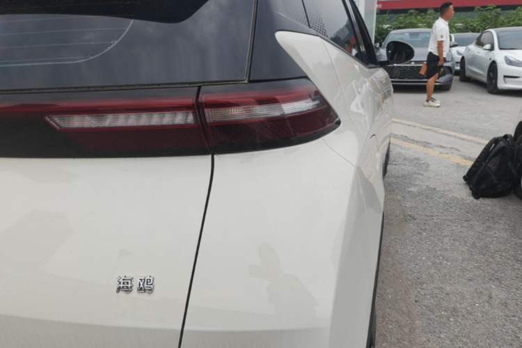 Used BYD Seagull 2025 305km Active Version Right Rear Taillight