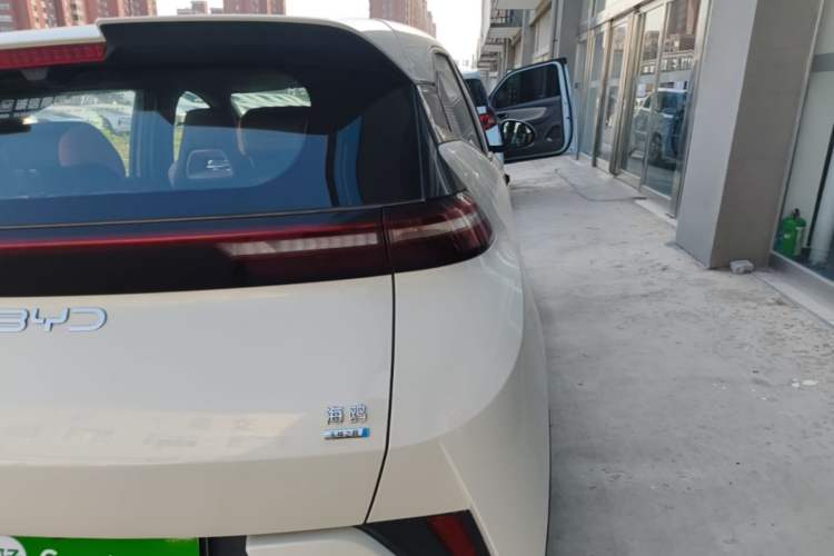 Used BYD Seagull 2025 Smart Drive Version 305 km Freedom Edition Right Rear Taillight