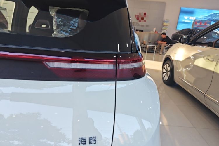 Used BYD Seagull 2025 Intelligent Driving Version 305 km Dynamic Edition Right Rear Taillight