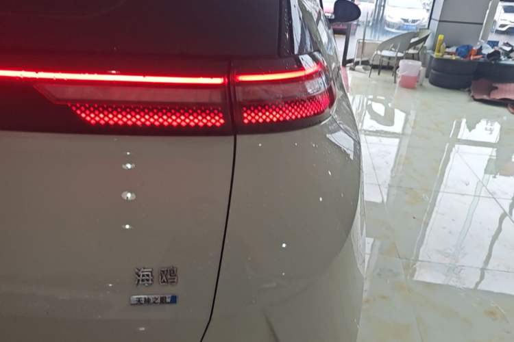 Used BYD Seagull 2025 Smart Drive Version 305 km Freedom Edition Right Rear Taillight