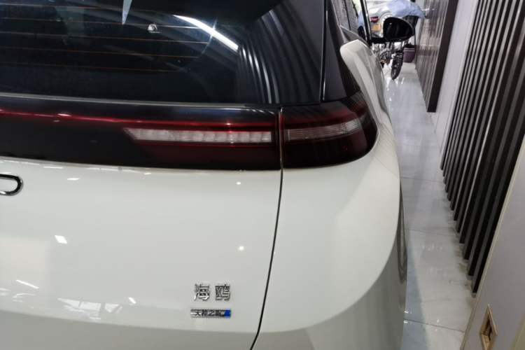 Used BYD Seagull 2025 Smart Drive Version 305 km Freedom Edition Right Rear Taillight