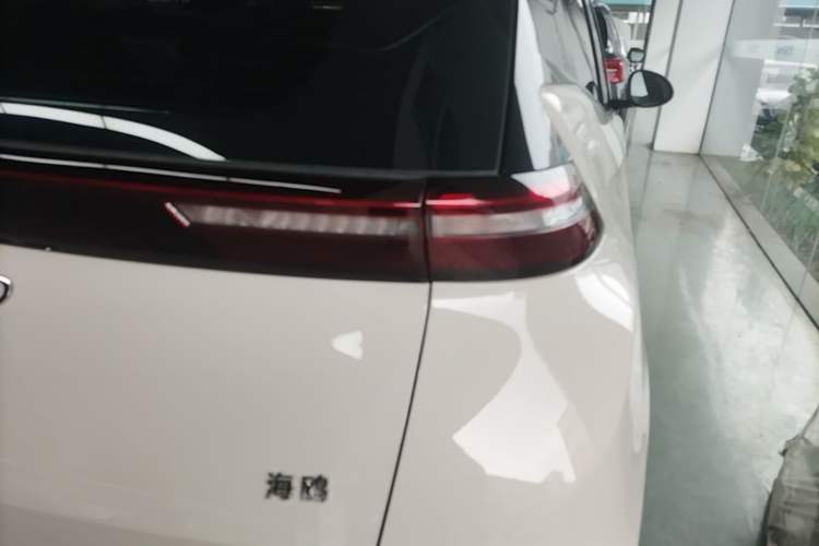 Used BYD Seagull 2025 Intelligent Driving Version 305 km Dynamic Edition Right Rear Taillight