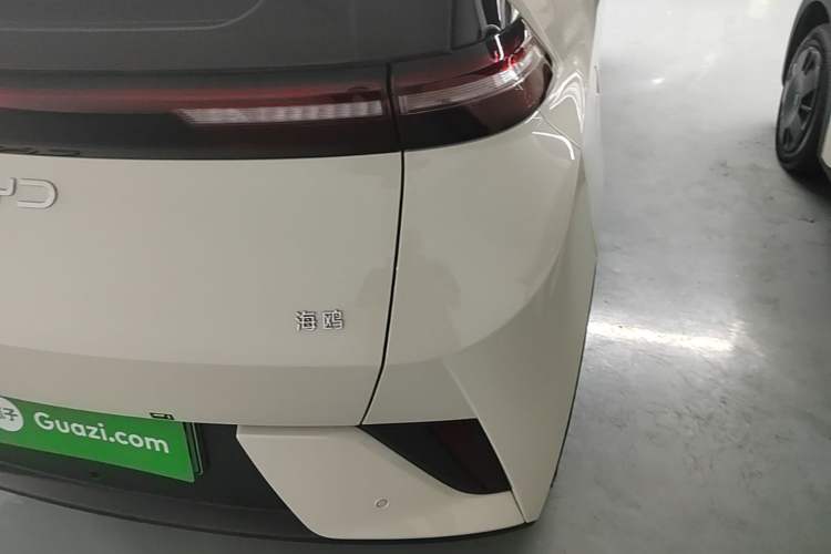 Used BYD Seagull 2025 Intelligent Driving Version 305 km Dynamic Edition Right Rear Taillight
