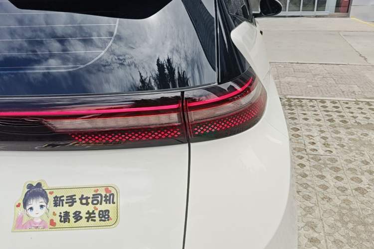 Used BYD Seagull 2025 Smart Drive Version 305 km Freedom Edition Right Rear Taillight
