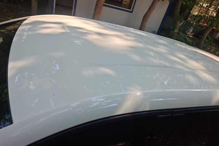 Used BYD Seagull 2025 305 km Free Version Roof