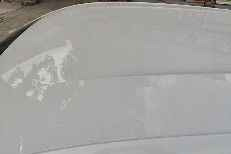 Used BYD Seagull 2025 Intelligent Driving Version 305 km Dynamic Edition Roof