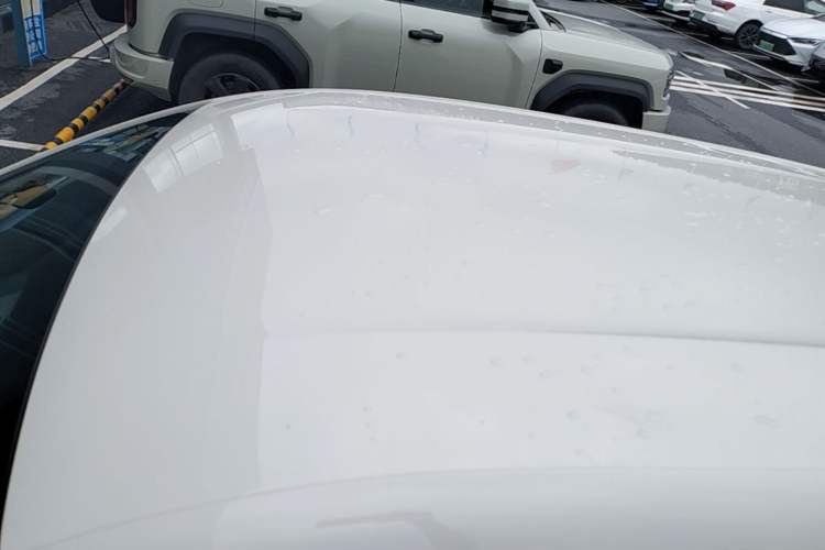 Used BYD Seagull 2025 Smart Drive Version 305 km Freedom Edition Roof