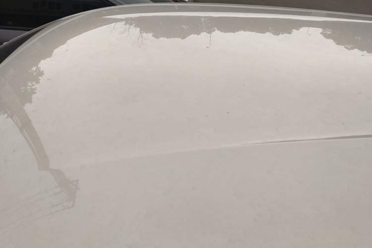 Used BYD Seagull 2025 305km Active Version Roof