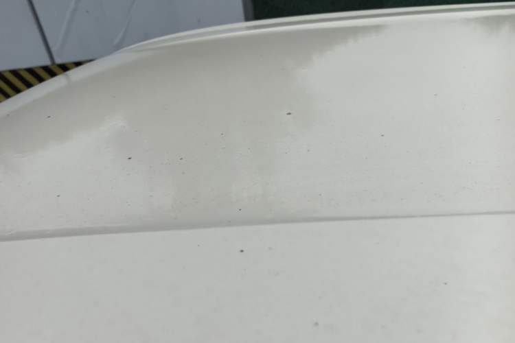 Used BYD Seagull 2025 Intelligent Driving Version 305 km Dynamic Edition Roof