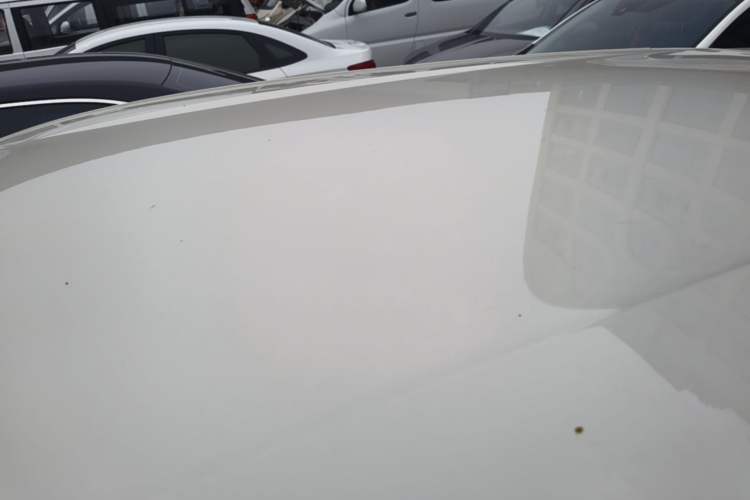 Used BYD Seagull 2025 305 km Free Version Roof