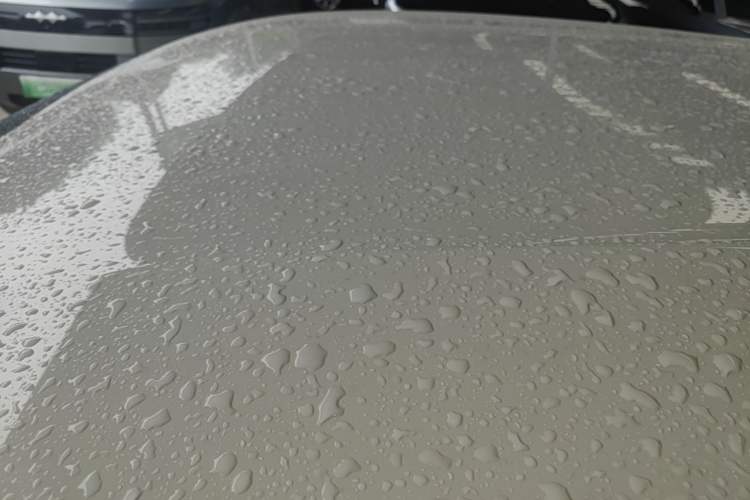 Used BYD Seagull 2025 305 km Free Version Roof