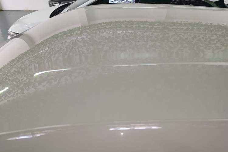Used BYD Seagull 2025 Intelligent Driving Version 305 km Dynamic Edition Roof