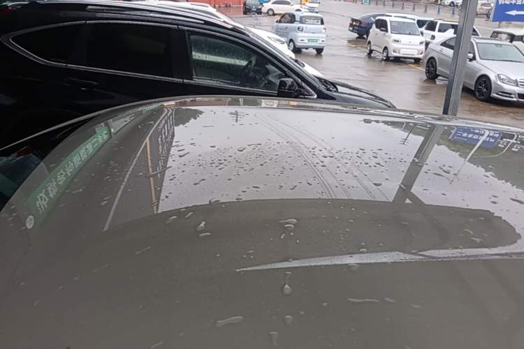 Used BYD Seagull 2025 305km Active Version Roof