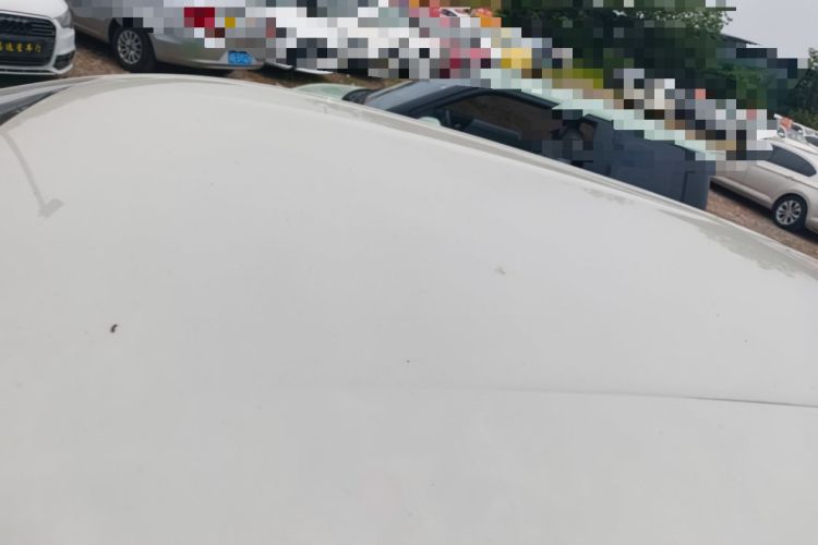 Used BYD Seagull 2025 Smart Drive Version 305 km Freedom Edition Roof