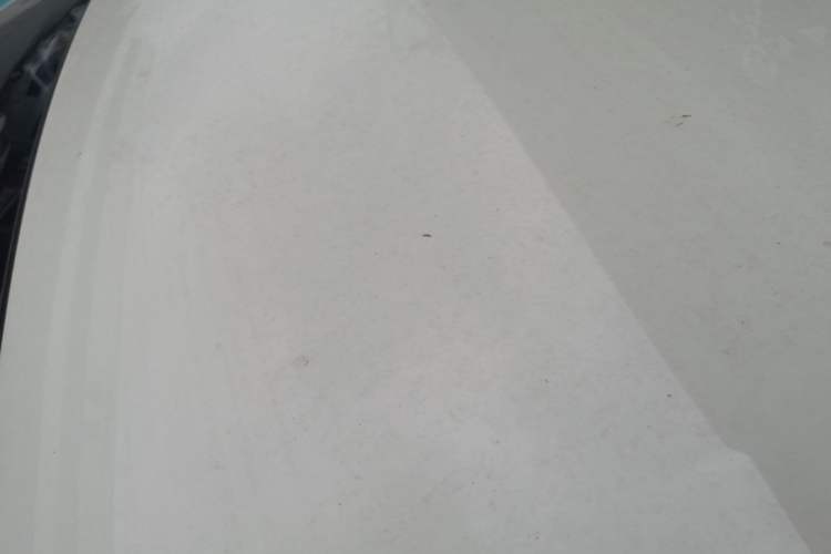 Used BYD Seagull 2025 305km Active Version Roof